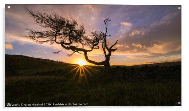 The Lone Tree at Roseberry Topping at sunrise Acrylic by Greg Marshall