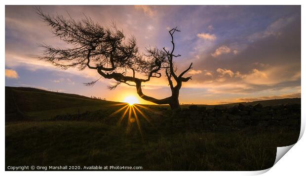 The Lone Tree at Roseberry Topping at sunrise Print by Greg Marshall