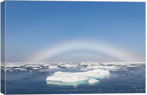 Fogbow over the Arctic Sea Canvas Print by Arterra 