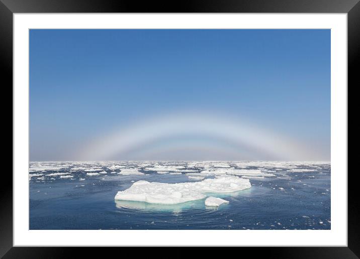 Fogbow over the Arctic Sea Framed Mounted Print by Arterra 