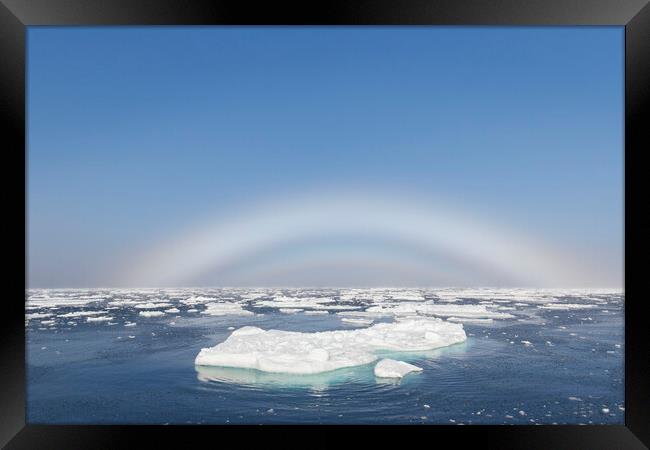 Fogbow over the Arctic Sea Framed Print by Arterra 