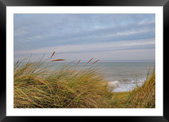North Norfolk coast from the sand dunes Framed Mounted Print by Chris Yaxley