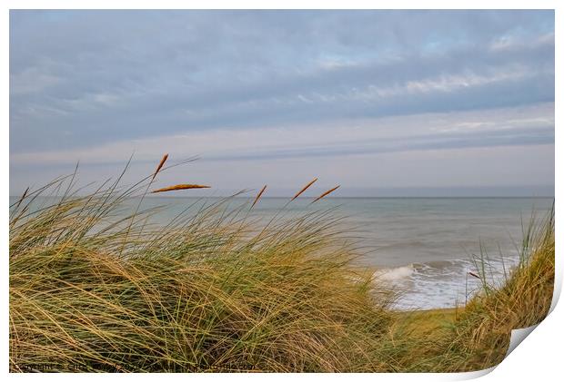 North Norfolk coast from the sand dunes Print by Chris Yaxley