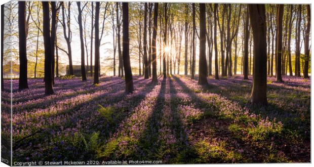 Bluebell Sunrise Canvas Print by Stewart Mckeown