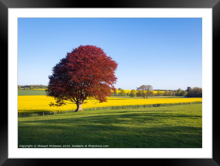 Spring Colours Framed Mounted Print by Stewart Mckeown