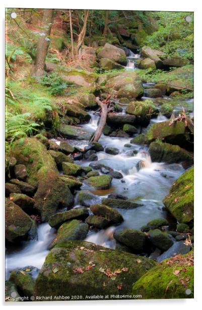Babbling Burbage Brook, Padley Gorge, Derbyshire Acrylic by Richard Ashbee