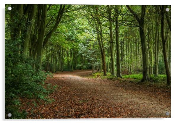 Bacton Woods Acrylic by Laura Rayner