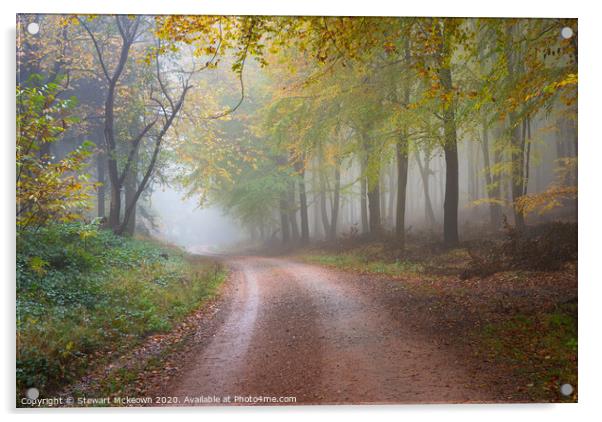 Autumnal Woodland Acrylic by Stewart Mckeown