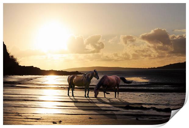 Running Free Print by Judith Oatley