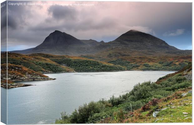 The Quinag Range, Assynt, NW Highlands of Scotland, UK Canvas Print by David Forster