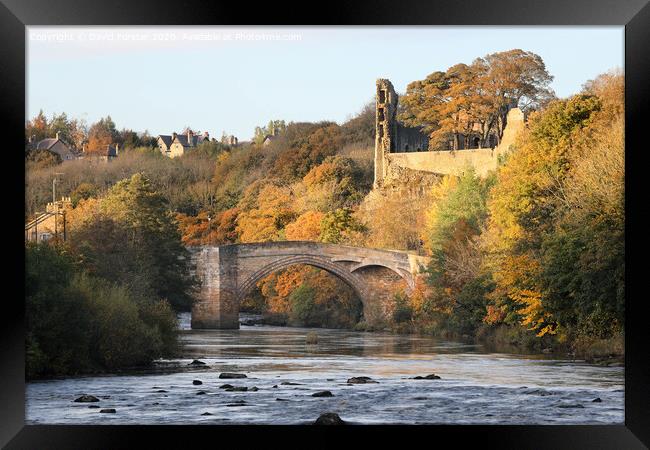 The River Tees, Barnard Castle in Autumn, Teesdale, County Durham, UK Framed Print by David Forster
