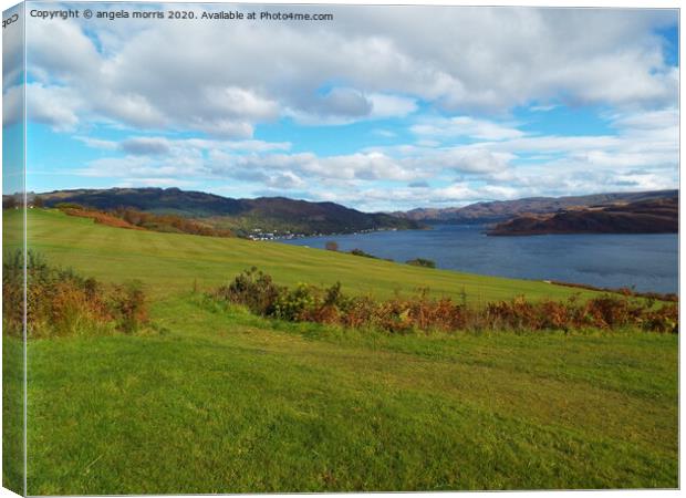outdoor grass  isles of bute Scotland Canvas Print by angela morris