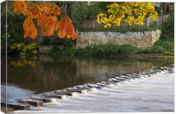 Autumn in Morpeth Northumberland Canvas Print by David Thompson