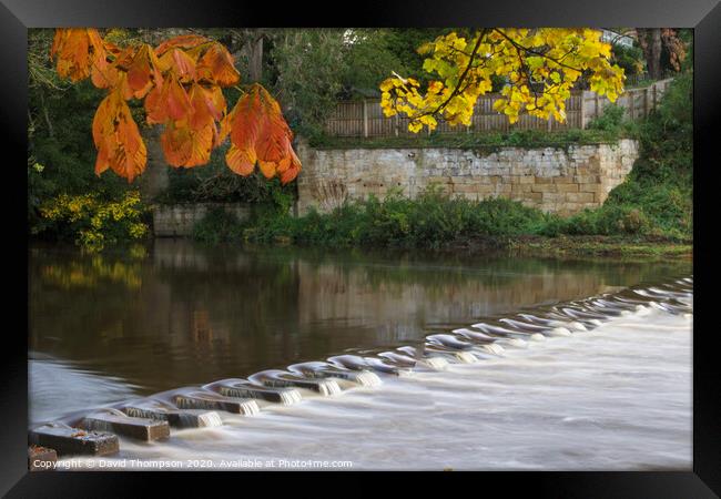 Autumn in Morpeth Northumberland Framed Print by David Thompson