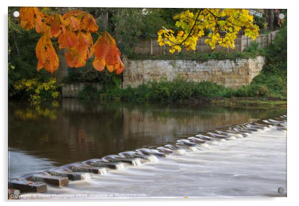 Autumn in Morpeth Northumberland Acrylic by David Thompson