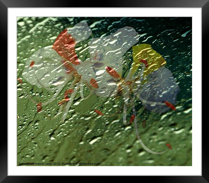 Its raining... Framed Mounted Print by Kamal Joshi