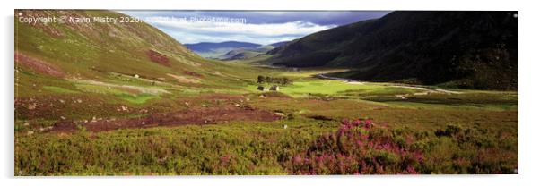 A Panoramic image of Glen Esk, Invermark, Scotland  Acrylic by Navin Mistry