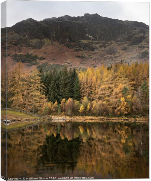 Beautiful colorful vibrant Autumn Fall landscape image of Blea Tarn with golden colors reflected in lake Canvas Print by Matthew Gibson
