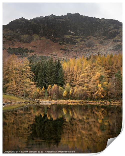 Beautiful colorful vibrant Autumn Fall landscape image of Blea Tarn with golden colors reflected in lake Print by Matthew Gibson