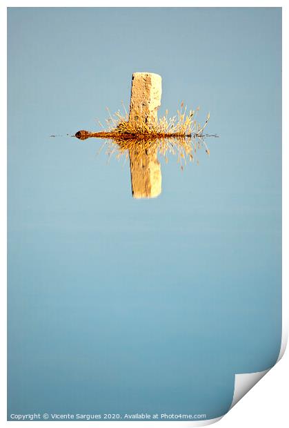 The boulding stone and reflection Print by Vicente Sargues