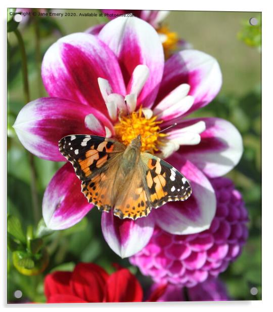 Dahlia and Butterfly, Painted Lady Acrylic by Jane Emery