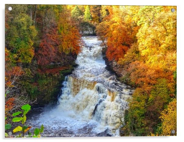 Autumn at Cora Linn Falls Acrylic by yvonne & paul carroll