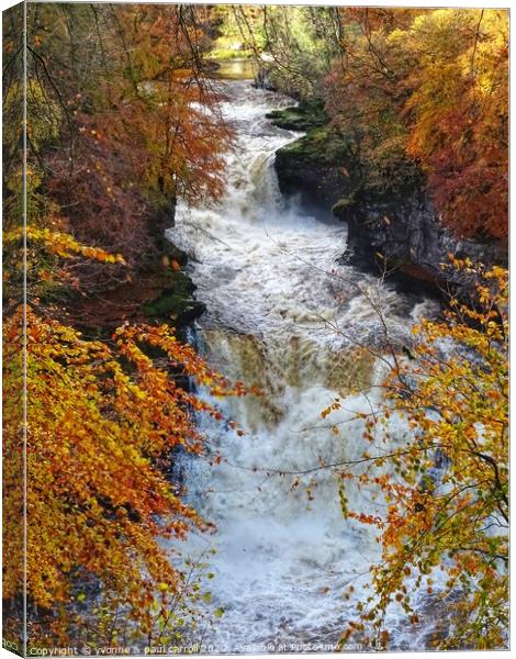 Autumn at Cora Linn Falls Canvas Print by yvonne & paul carroll