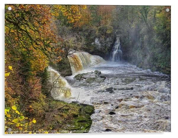 Bonnington Linn at the Falls of Clyde Acrylic by yvonne & paul carroll