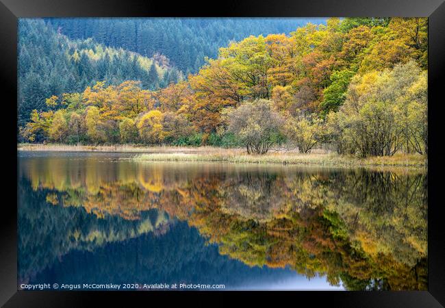 Autumn reflections on Loch Chon Framed Print by Angus McComiskey