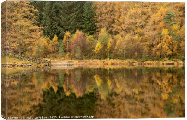 Beautiful colorful vibrant Autumn Fall landscape image of Blea Tarn with golden colors reflected in lake Canvas Print by Matthew Gibson