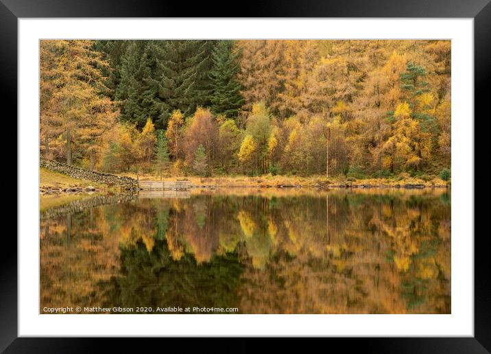 Beautiful colorful vibrant Autumn Fall landscape image of Blea Tarn with golden colors reflected in lake Framed Mounted Print by Matthew Gibson