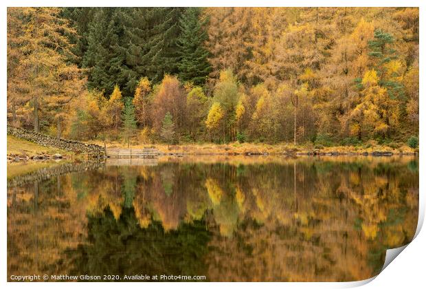 Beautiful colorful vibrant Autumn Fall landscape image of Blea Tarn with golden colors reflected in lake Print by Matthew Gibson