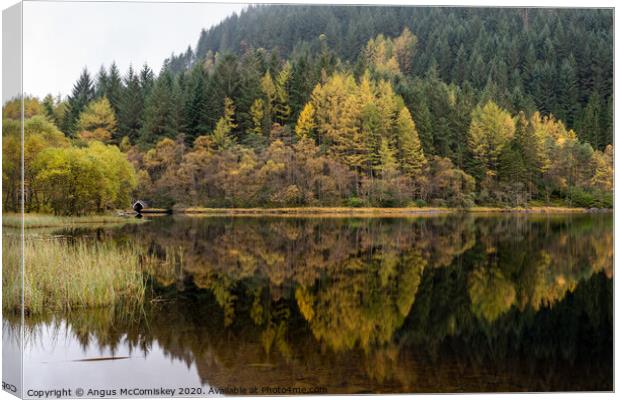 Loch Chon in autumn Canvas Print by Angus McComiskey