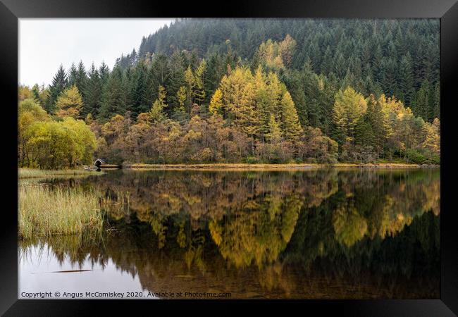 Loch Chon in autumn Framed Print by Angus McComiskey