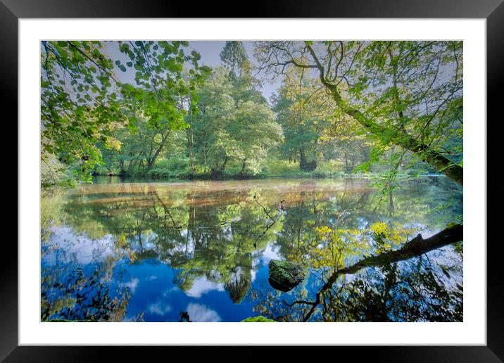 reflections on the river Nidd in Knaresborough Yorkshire Framed Mounted Print by mike morley