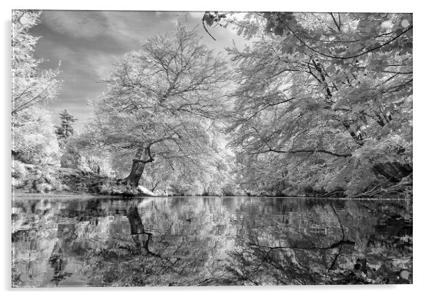 river Nidd in Knaresborough in Infra red Acrylic by mike morley
