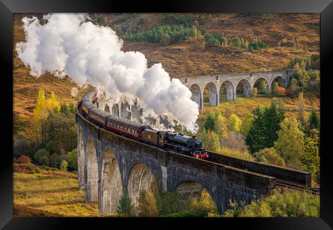 The Jacobite crossing the Glenfinnan Viaduct Framed Print by Miles Gray