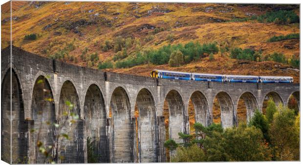 Scotrail crossing the Glenfinnan Viaduct Canvas Print by Miles Gray