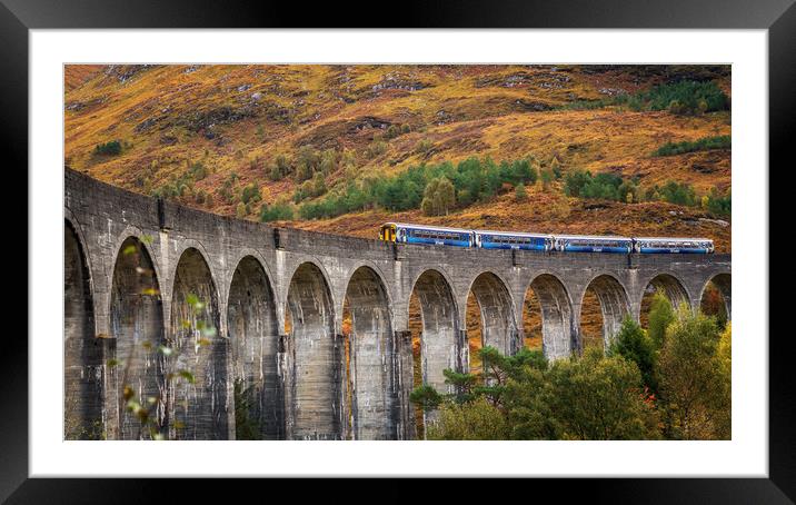 Scotrail crossing the Glenfinnan Viaduct Framed Mounted Print by Miles Gray