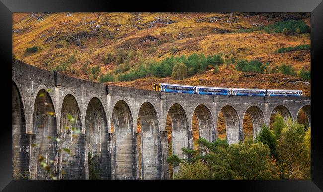 Scotrail crossing the Glenfinnan Viaduct Framed Print by Miles Gray