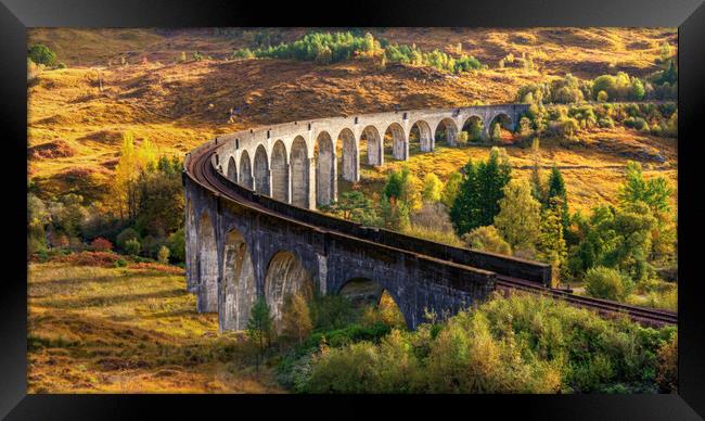Autumn light at the Glenfinnan Viaduct Framed Print by Miles Gray