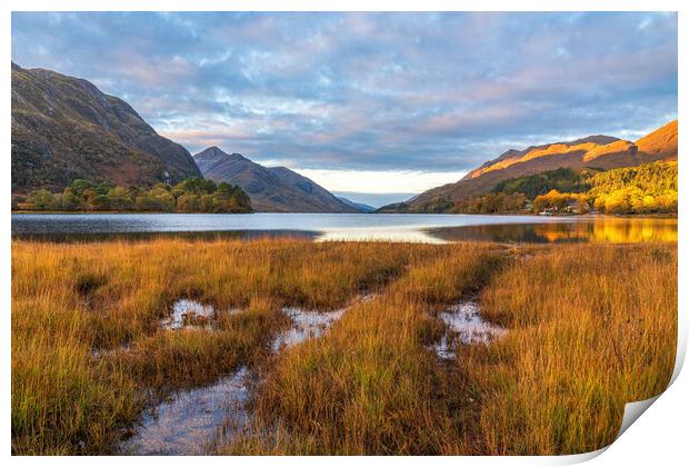 Autumn Morning on Loch Shiel Print by Miles Gray