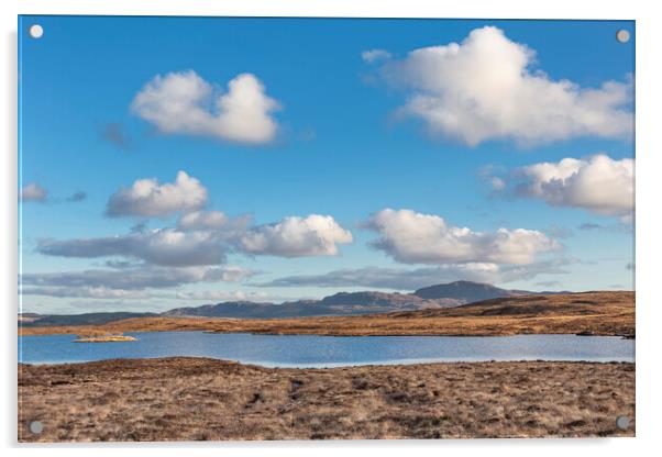 Highland Sky Acrylic by David Hare