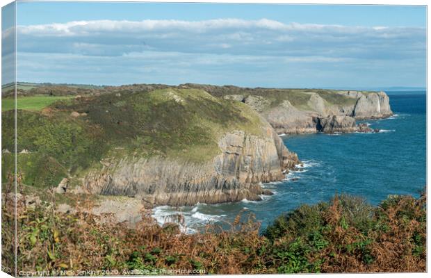 Cliffs just north of Tenby in Pembrokeshire Canvas Print by Nick Jenkins