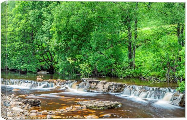 Wainwath Force in Swaledale Yorkshire Dales  Canvas Print by Nick Jenkins