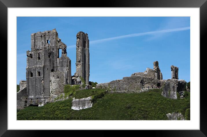 Corfe Castle Framed Mounted Print by David Buckland