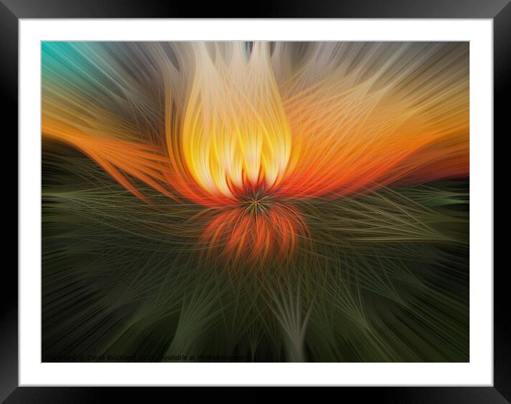 Twirl Pattern Framed Mounted Print by David Buckland