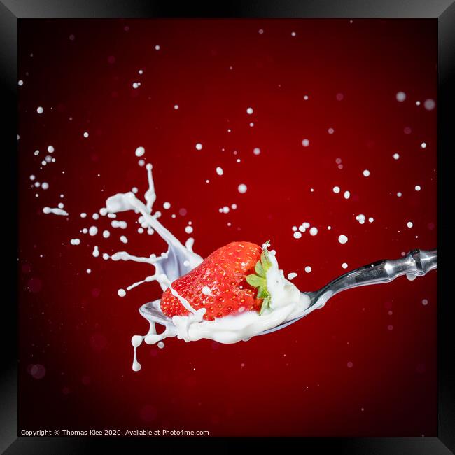 Strawberry Milk-Splash Framed Print by Thomas Klee