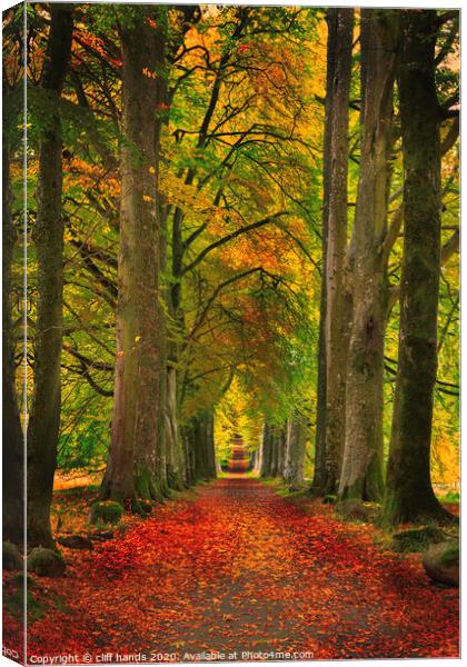 Avenue of Autumn in Scotland Canvas Print by Scotland's Scenery