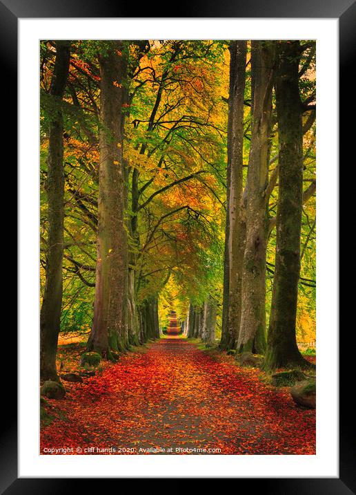 Avenue of Autumn in Scotland Framed Mounted Print by Scotland's Scenery